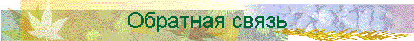 Обратная связь
