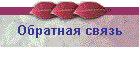Обратная связь