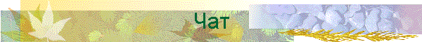 Чат