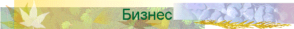 Бизнес