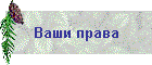 Ваши права